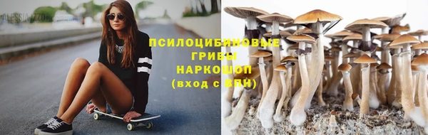 каннабис Дмитриев