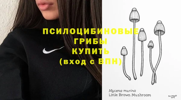 ECSTASY Дмитровск