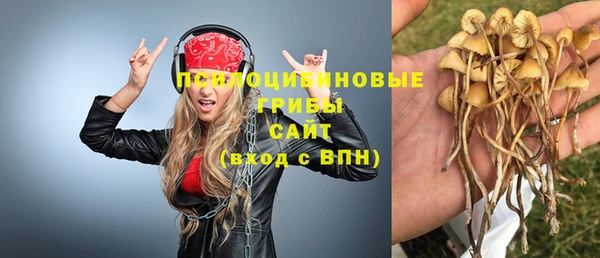 ECSTASY Дмитровск