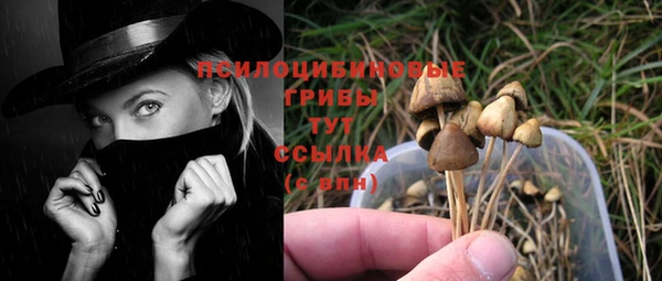 прущая мука Чердынь