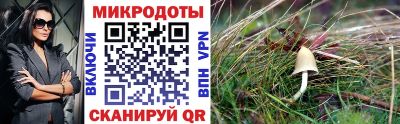 Псилоцибиновые грибы GOLDEN TEACHER Вилюйск