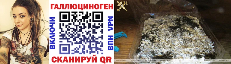 Галлюциногенные грибы GOLDEN TEACHER  Вилюйск 